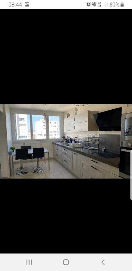 Appartement Laurent Bonnevay Villeurbanne Bagian luar foto