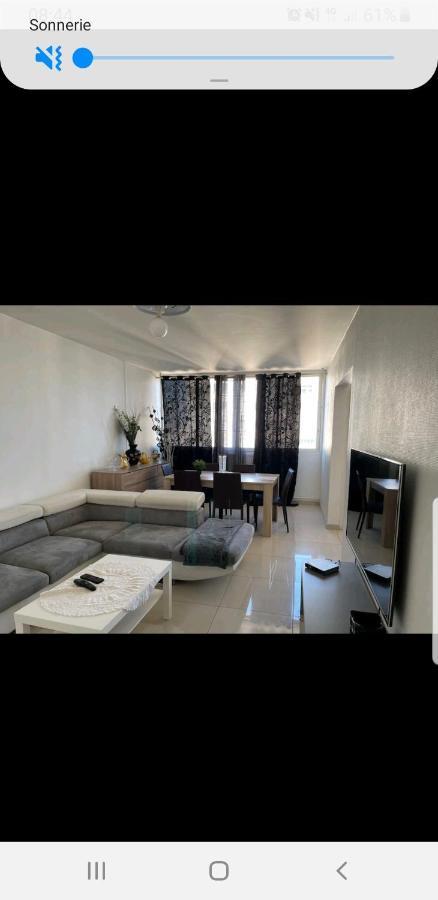 Appartement Laurent Bonnevay Villeurbanne Bagian luar foto